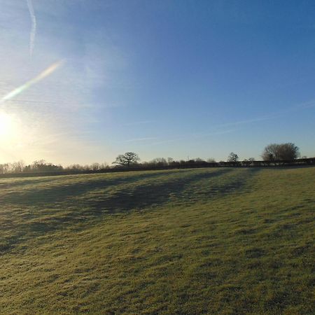 Fieldsview Villa Wrexham Eksteriør bilde